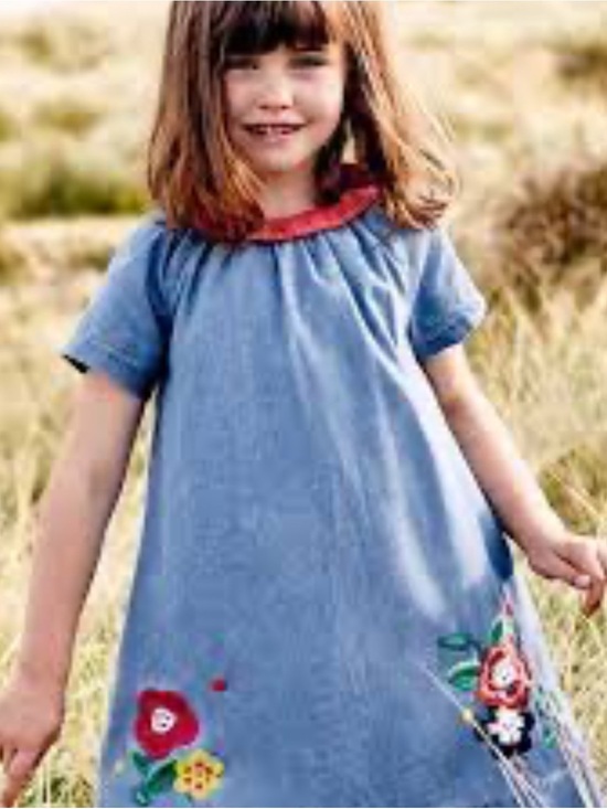 Mini Boden Other - Mini Boden Girls' Blue Floral Appliqué Dress with Red Collar size 8